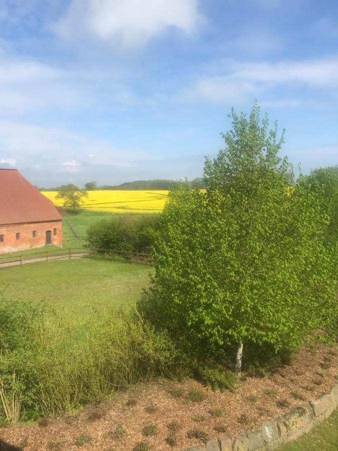 Schmuckstueck In Ostseenaehe Surendorf Kültér fotó